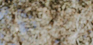 Wie Man Mit Bloggern Verhandelt: Erfolgreiche Strategien Entdecken