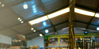 Outreach-Tools Richtig Einsetzen: Steigere Deinen Erfolg Dramatisch!