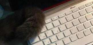 Blog-SEO Für Mehr Reichweite: Entfessle Deine Online-Potenziale!