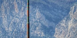 Outreach.ws Im SEO-Alltag Nutzen: So Optimieren Sie Ihre Strategie