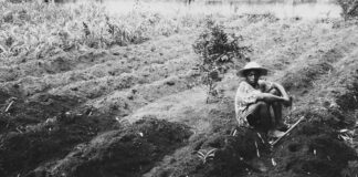 Blogger-Outreach Im Vergleich: Entdecken Sie Die Besten Strategien!