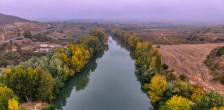 Blogger-Outreach Und HARO Kombinieren: So Steigern Sie Ihre Reichweite