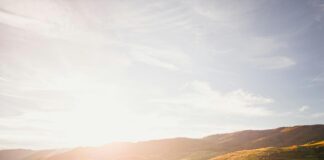 Backlinks In Der Cloud Managen: So Steigern Sie Ihre Sichtbarkeit