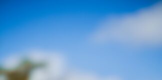 Outreach-Kampagnen Erfolgreich Planen: So Steigern Sie Ihre Reichweite