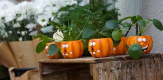 Outreach-Checkliste 2025: Entfalte Dein Potenzial Mit Effektiven Strategien