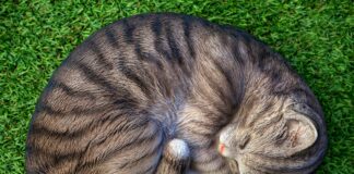 Outreach-Effizienz Steigern: 7 Strategien Für Maximale Wirkung